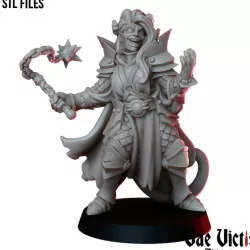 $3.99The Tiefling Cleric