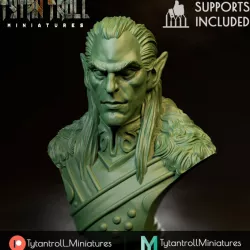 $4.00Rahadin Bust [Professionally Pre-Supported]