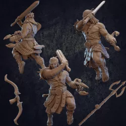 $4.00Rhom Gladiator Barbarian - Presupported