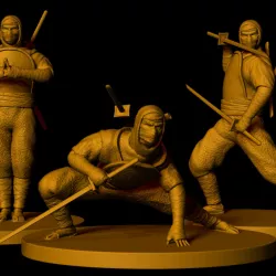 $4.00Shinobi Warriors (3 poses)