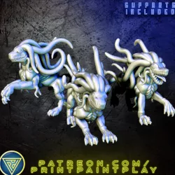 $4.99Dog Aberration Set