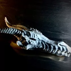 $5.00Dragon Skull - Pre-supported STL