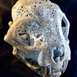 $5.00Filigree Anatomical Bobcat Skull - Pre-supported STL