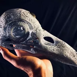 $5.00Filigree Anatomical Raven Skull - Pre-supported STL