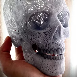 $5.00Filigree Anatomical Skull - Pre-supported STL