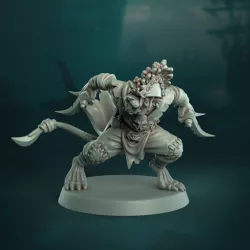 $5.00Pi'Rat Runner 2