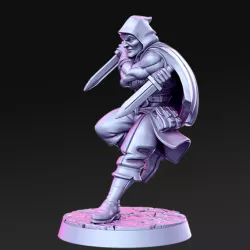 $5.00Wiltram - Male assassin - 32mm - DnD