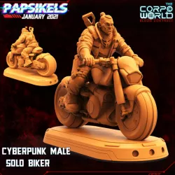 $5.99CYBERPUNK MALE SOLO BIKER