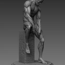 $7.00Human Anatomy art
