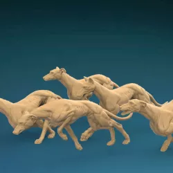 $8.00Giant hunt dogs