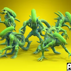 $9.00THE HIVE