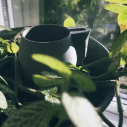 Classy Tea Cup