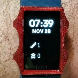 Fitbit Charge 4 Swatch Guard