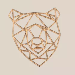 Geometric Bear