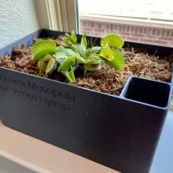 Killer Plants Pot