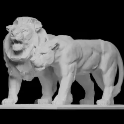 Lion and lionesse