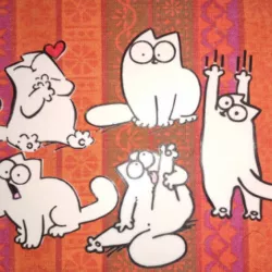 Simon's cat