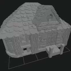 Small medieval house with a store room