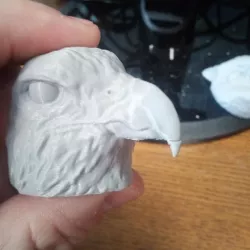 $1.00Hawk Head Magnet