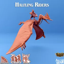 $10.00Halfling Rider 2