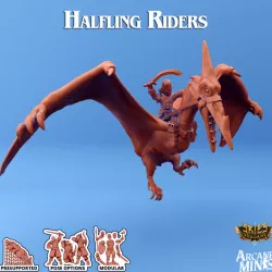 $10.00Halfling Rider 3