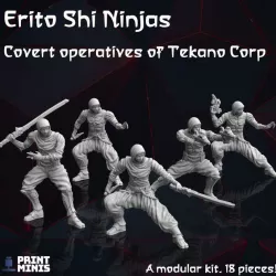 $12.00Modular Sci-Fi Ninjas - Tekano Corp Collection