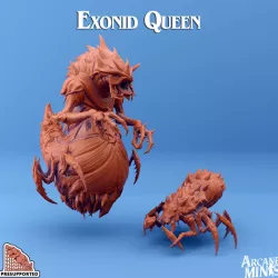 $12.50Exonid - Queens