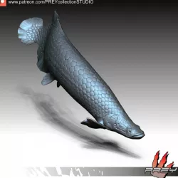 $15.00ARAPAIMA
