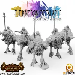 $16.00Kingdom of Talarius - Light Cavalry Unit (5 models) - 32mm scale presupported