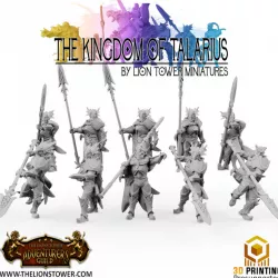$16.00Kingdom of Talarius - Order of the Dragon - 10 man unit (incl presupported)