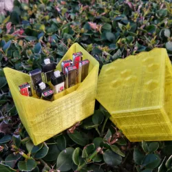1S Whoop Battery Storage Box