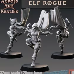 $2.99Elf Rogue