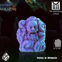 $2.99Visage of Madness