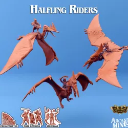 $20.00Halfling Terrordactyl Riders