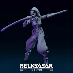 $3.00Fantasy Female Assassin