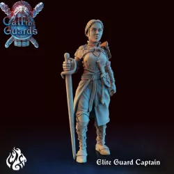 $3.49City Guard Elite Captain