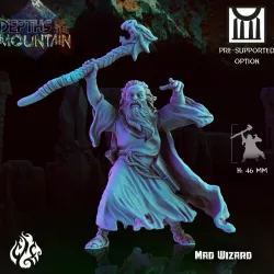 $3.49Mad Wizard