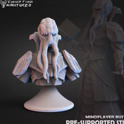 $3.50Mindflayer bust