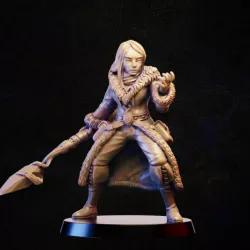 $3.90Frost mage battle stance