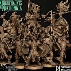 $30.00Knighthaunts of Necronnia Character Pack