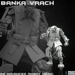 $4.00Banka Vrach - Robot Medic - The Iron Guard Collection