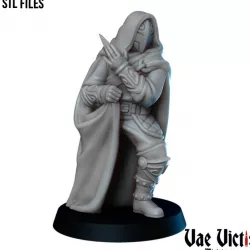 $4.00The Masked assassin