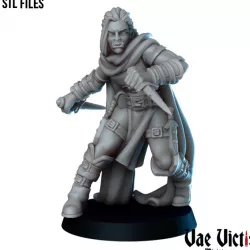 $4.00The Orc thief