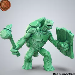 $4.00Tortle 05 - Shield