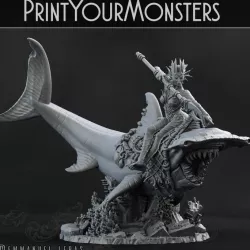 $6.00HAMMER SHARK RIDER