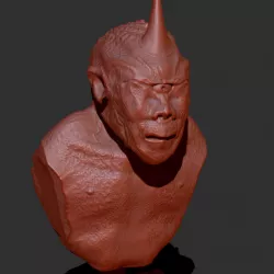 Cyclops Bust.