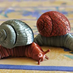 Friendly articulated snail with 12 different shells
