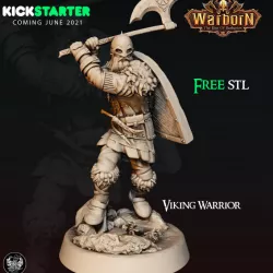 KICKSTARTER FREE ''VIking Warrior" Presupported 3D Model