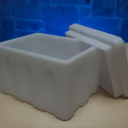 Mini Cooler Box