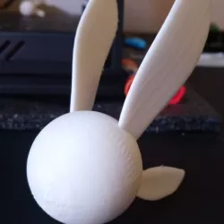 Navi